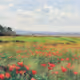 Meadow