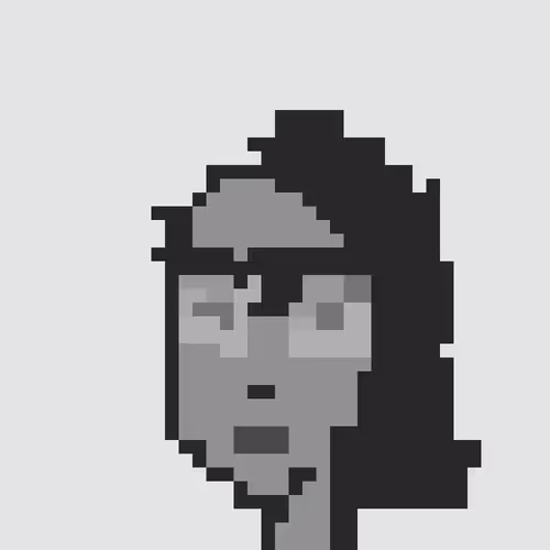 No Normal Punk