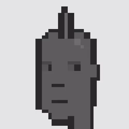 No Normal Punk
