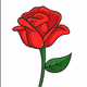 Rose
