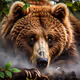 Kickout Bear