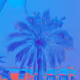bluepalm