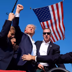 COME BACK - TRUMP 