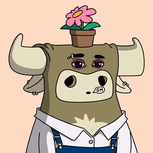 Getbullshitwtf