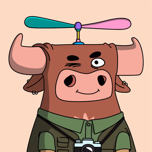 Getbullshitwtf