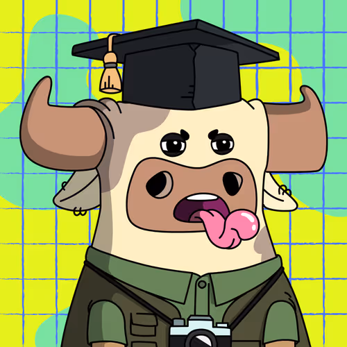 Getbullshitwtf