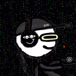 26
