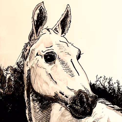 Rodeo Posts 4647