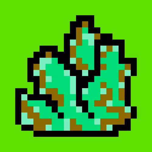 Item #6 Media