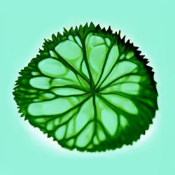 Drop Mint Collection #2