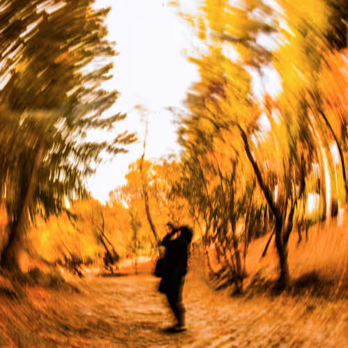 Welcome, autumn!  #22