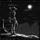 Rodeo posts