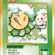 Snow SP-203 EN