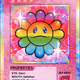 Rainbow SP-205 EN