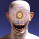 509