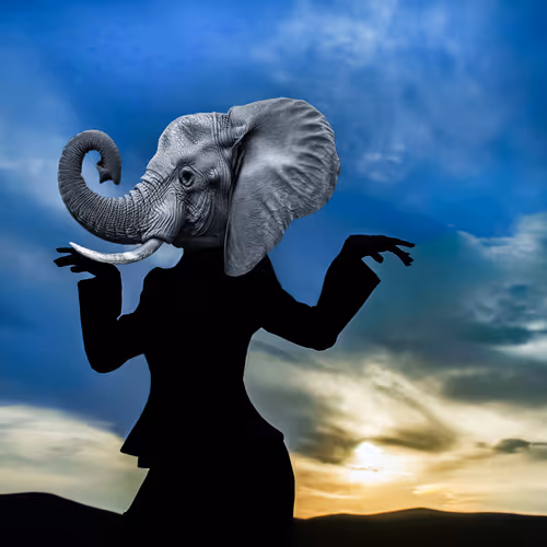 Elephants Matter 1