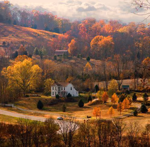 houses in the autumn forest