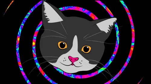 Funny Cat 02