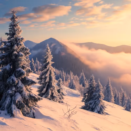 Winter is for wonders