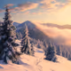 Winter is for wonders