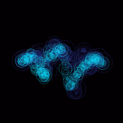 x402 Loop #10174