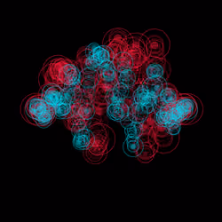 x402 Loop #10249