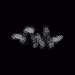x402 Loop #2620