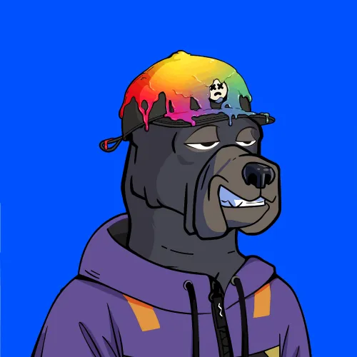 Base On Dogs