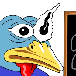 243