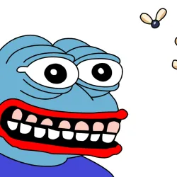 73