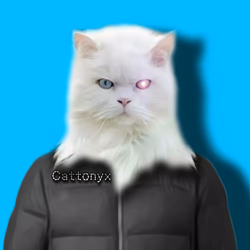 Item #13 Media