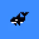 Whale 