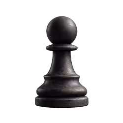 PAWN Type I #201