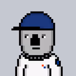 Koala Fren #84