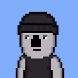 Koala Fren #73