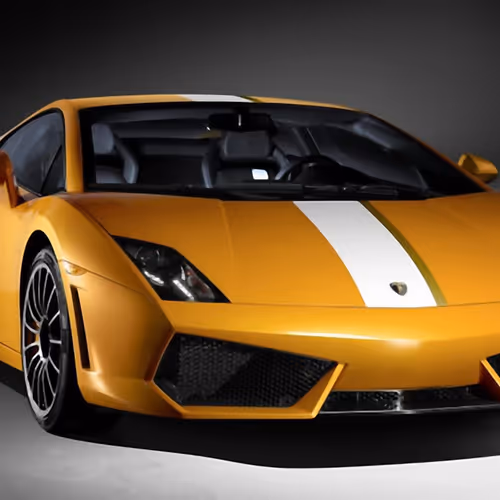 michell17477282 - Member