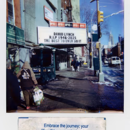 Polaroidfortunes