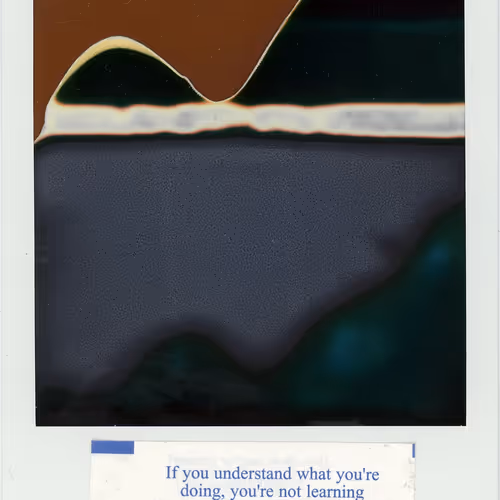 Polaroidfortunes