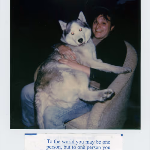 Polaroidfortunes