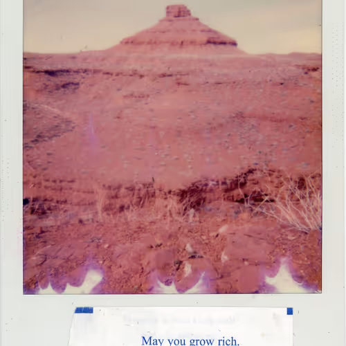 Polaroidfortunes