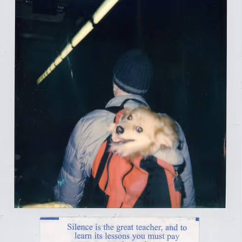 Polaroidfortunes
