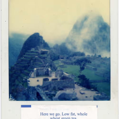 Polaroidfortunes