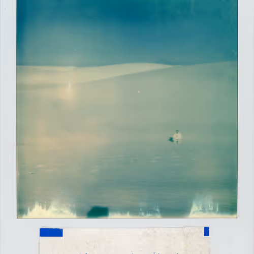 Polaroidfortunes