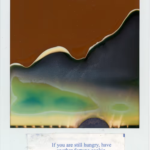 Polaroidfortunes