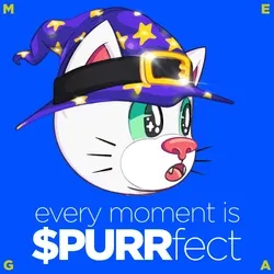 PURR memes  11