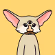 FENNEC 2
