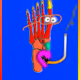 19