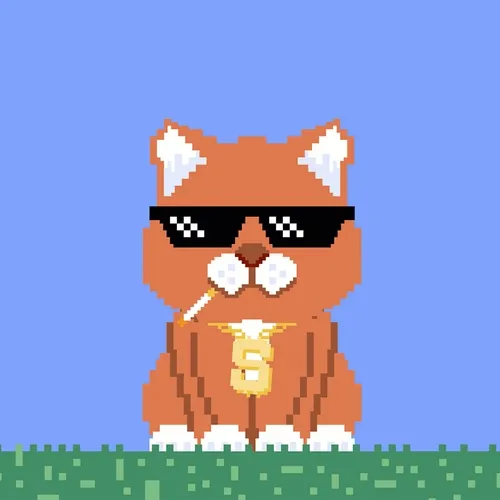 Bull Market Dog