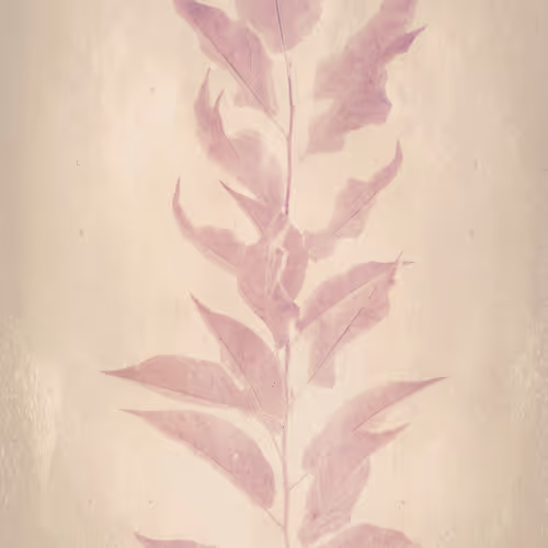 116