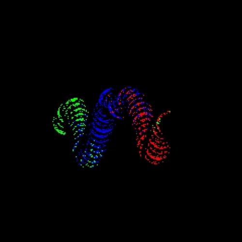Neo Squiggle #2895